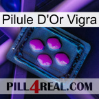 Vigra Gold Pill 04